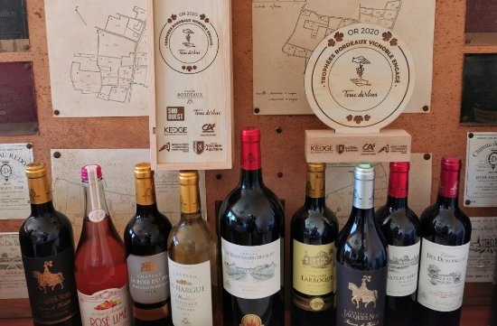 法国葡萄酒权威颁奖，拉菲与都古鳄为五大奖项代表(图3)