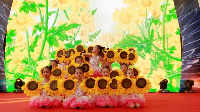 ＂打破障碍，敞开大门＂长安镇国际残疾人日文艺汇演圆满落幕(图7)