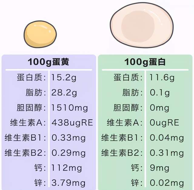 被冤枉的鸡蛋黄告诉你：一天最多可以吃几个鸡蛋？(图3)